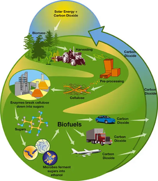 A detailed representation of uses of biogas