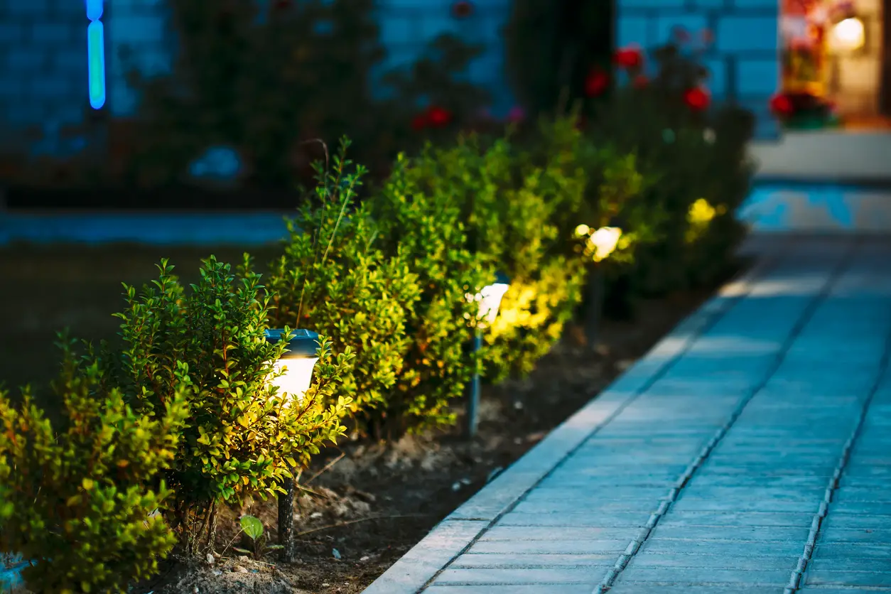 night view of solar lights with a flowerbed