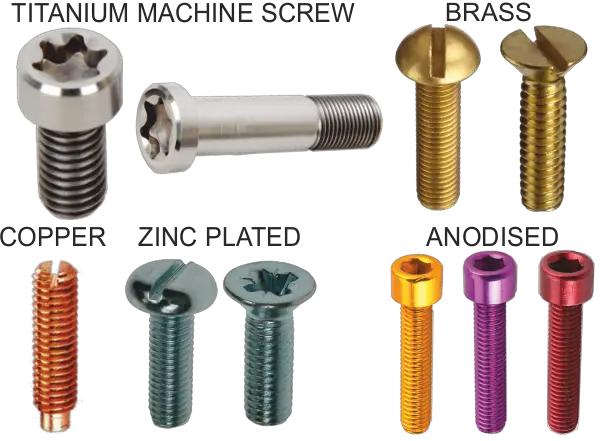 Different types of machine screws