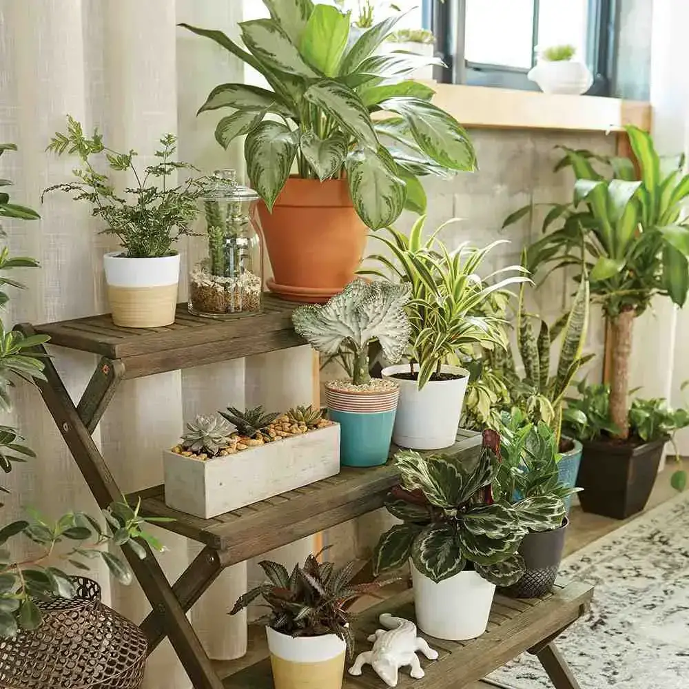indoor plants in a shipping container home