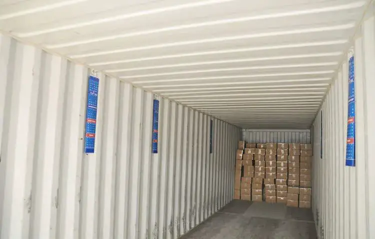 Desiccant dehumidifier for shipping container