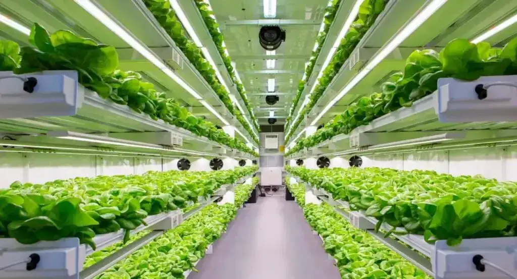 Hydroponics setup inside a shipping container