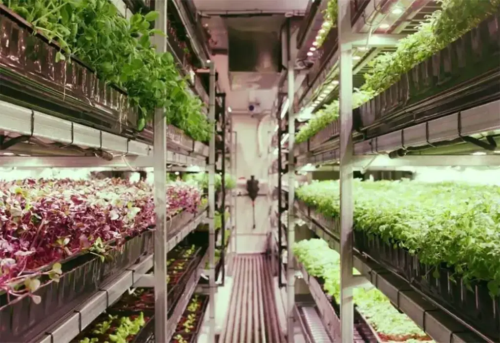 Vertical farming applied in shipping containers