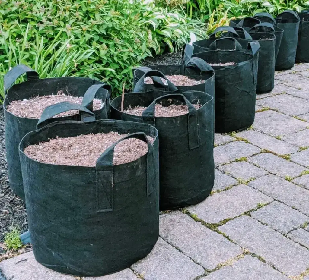 Fabric grow bags for planting plants in Florida