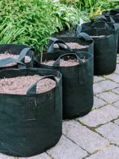Fabric grow bags for planting plants in Florida